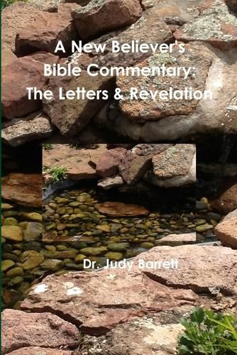 Cover image for A New Believer's Bible Commentary