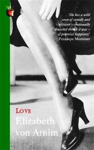 Cover image for Love: A Virago Modern Classic