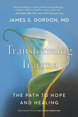 Cover image for Transforming Trauma: The Path to Hope and Healing