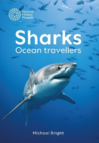 Cover image for Sharks