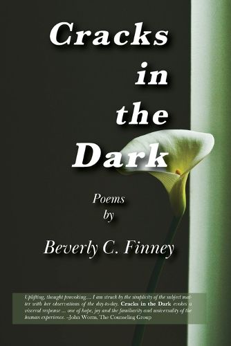 Cover image for Cracks in the Dark: Poems