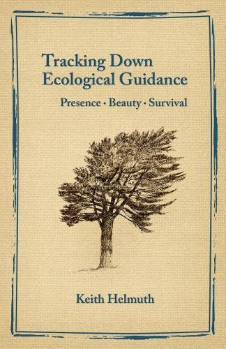 Cover image for Tracking Down Ecological Guidance: Presence, Beauty, Survival