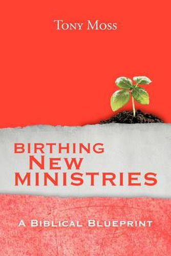 Cover image for Birthing New Ministries: A Biblical Blueprint