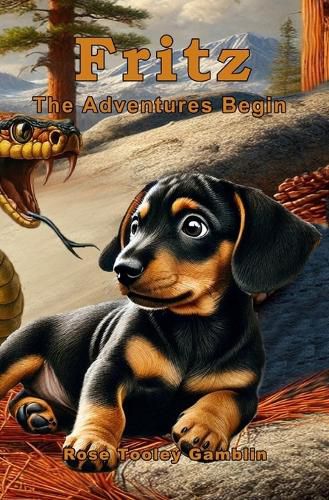 Cover image for Fritz