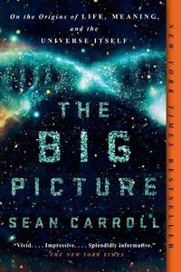 Cover image for The Big Picture: On the Origins of Life, Meaning, and the Universe Itself