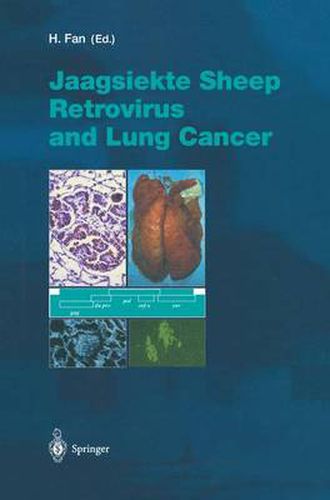 Cover image for Jaagsiekte Sheep Retrovirus and Lung Cancer