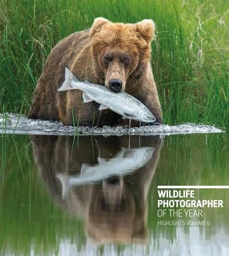 Cover image for Wildlife Photographer of the Year: Highlights Volume 6, Volume 6