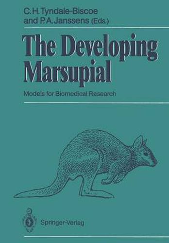 Cover image for The Developing Marsupial: Models for Biomedical Research
