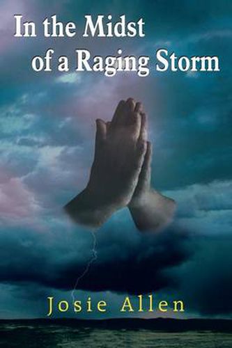 Cover image for In the Midst of a Raging Storm