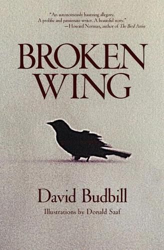 Cover image for Broken Wing