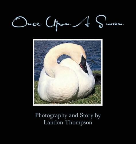 Cover image for Once Upon A Swan