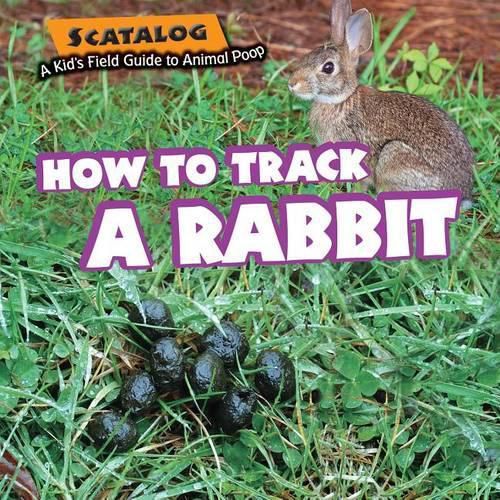 Cover image for How to Track a Rabbit