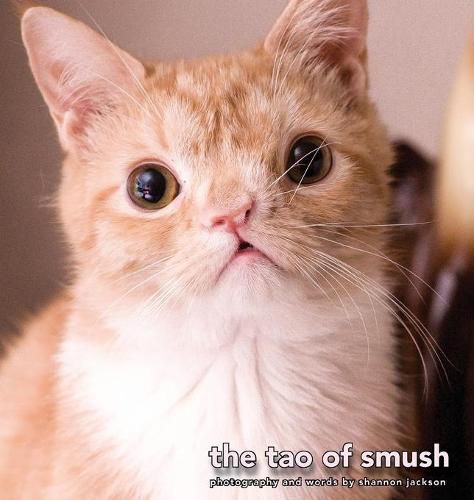 Cover image for The Tao of Smush