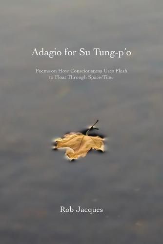 Cover image for Adagio for Su Tung-p'o: Poems on How Consciousness Uses Flesh to Float Through Space/Time