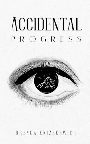 Cover image for Accidental Progress
