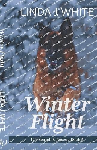 Winter Flight