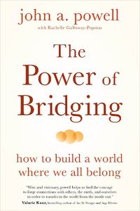 Cover image for The Power of Bridging