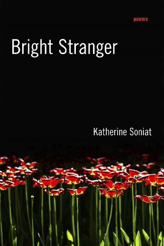 Cover image for Bright Stranger: Poems