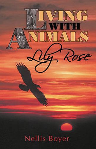 Cover image for Lily Rose