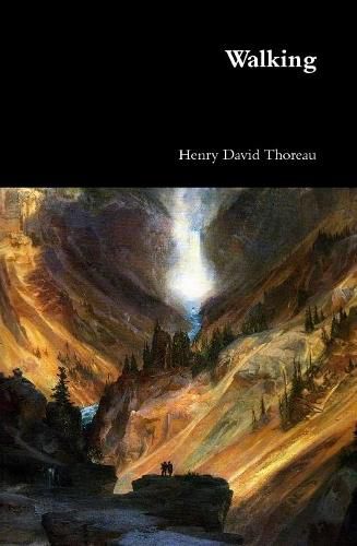 Cover image for Walking