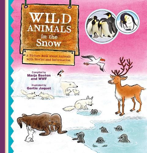 Cover image for Wild Animals in the Snow. A Picture Book about Animals with Stories and Information