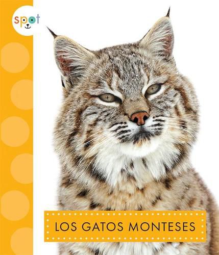 Cover image for Los Gatos Monteses