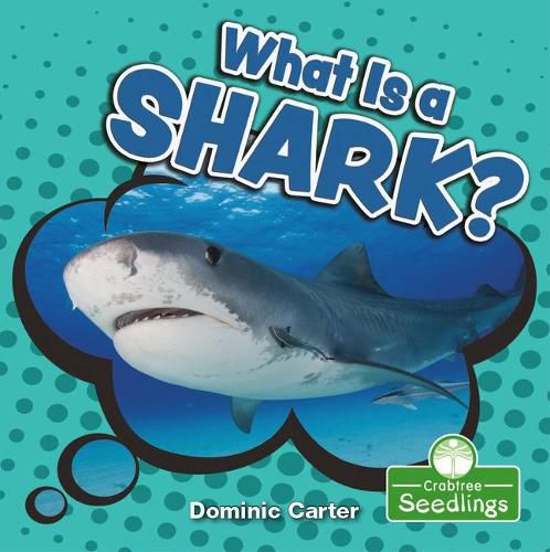 Cover image for What Is a Shark?