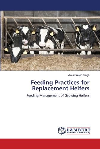 Feeding Practices for Replacement Heifers