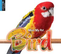 Cover image for Bird