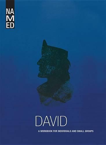 Cover image for Named: David: A Workbook for Individuals and Small Groups