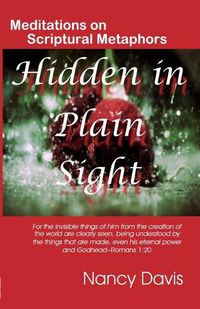 Cover image for Hidden in Plain Sight