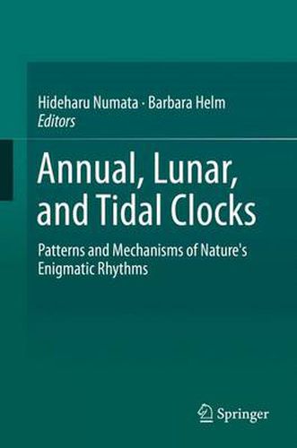 Cover image for Annual, Lunar, and Tidal Clocks: Patterns and Mechanisms of Nature's Enigmatic Rhythms