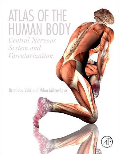 Cover image for Atlas of the Human Body: Central Nervous System and Vascularization