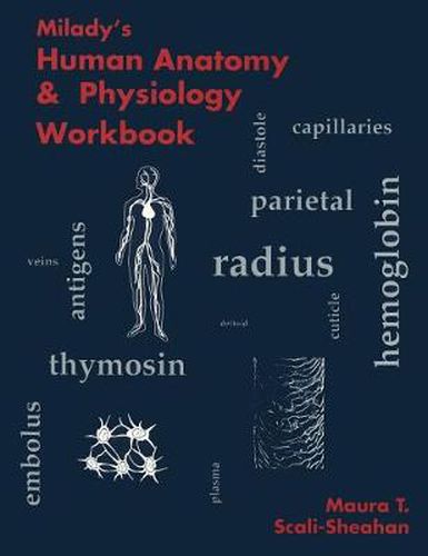 Cover image for Milady's Human Anatomy and Physiology Workbook