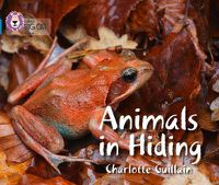 Cover image for Animals in Hiding: Band 04/Blue