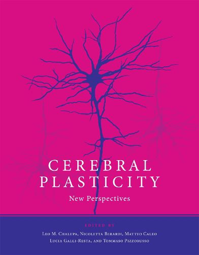 Cover image for Cerebral Plasticity: New Perspectives