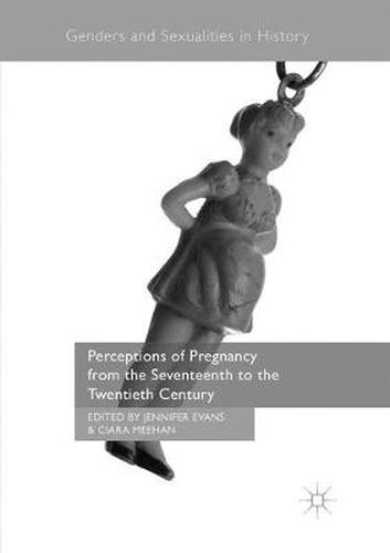 Cover image for Perceptions of Pregnancy from the Seventeenth to the Twentieth Century