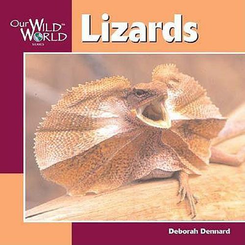 Cover image for Lizards