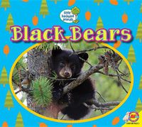 Cover image for Black Bears