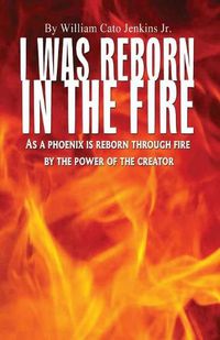 Cover image for I Was Reborn in the Fire