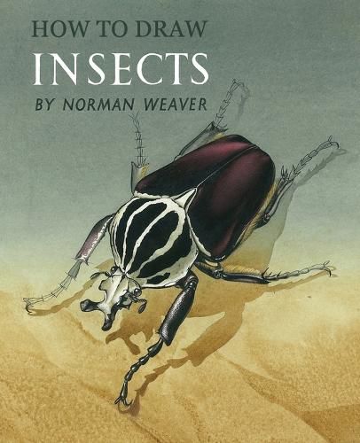 Cover image for How to Draw Insects (Facsimile Reprint)