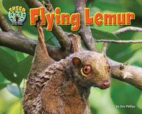 Cover image for Flying Lemur