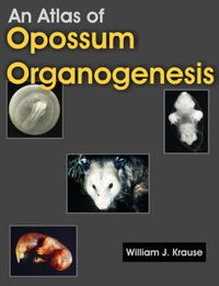 Cover image for An Atlas of Opossum Organogenesis: Opossum Development