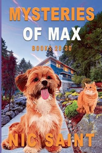 Cover image for Mysteries of Max
