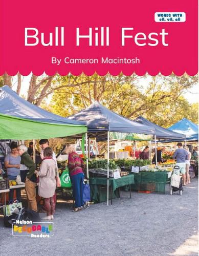 Cover image for Bull Hill Fest (Words with ull, oll, all)