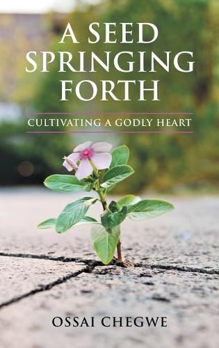 Cover image for A Seed Springing Forth