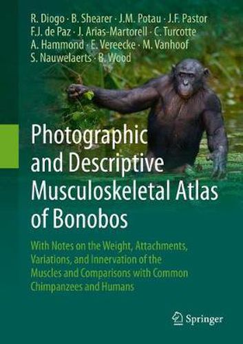 Photographic and Descriptive Musculoskeletal Atlas of Bonobos: With Notes on the Weight, Attachments, Variations, and Innervation of the Muscles and Comparisons with Common Chimpanzees and Humans