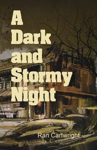 Cover image for A Dark and Stormy Night