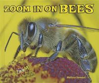 Cover image for Zoom in on Bees