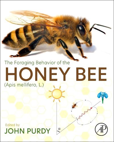 Cover image for The Foraging Behavior of the Honey Bee (Apis mellifera, L.)